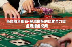 鱼鹰捕鱼视频-鱼鹰捕鱼的优雅与力量-鱼鹰捕鱼视频