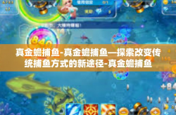 真金蟾捕鱼-真金蟾捕鱼—探索改变传统捕鱼方式的新途径-真金蟾捕鱼