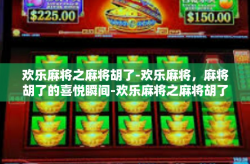 欢乐麻将之麻将胡了-欢乐麻将，麻将胡了的喜悦瞬间-欢乐麻将之麻将胡了