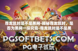 尊龙凯时是不是黑网-揭秘尊龙凯时，是否为黑网一探究竟-尊龙凯时是不是黑网