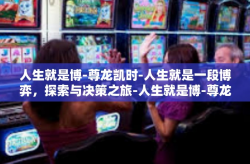 人生就是博-尊龙凯时-人生就是一段博弈，探索与决策之旅-人生就是博-尊龙凯时