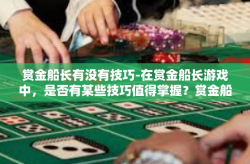 赏金船长有没有技巧-在赏金船长游戏中，是否有某些技巧值得掌握？赏金船长有没有技巧