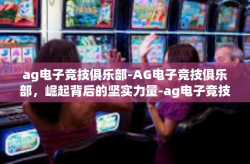 ag电子竞技俱乐部-AG电子竞技俱乐部，崛起背后的坚实力量-ag电子竞技俱乐部