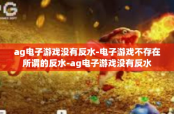 ag电子游戏没有反水-电子游戏不存在所谓的反水-ag电子游戏没有反水