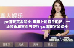 pc游戏赏金船长-电脑上的赏金船长，一场金币与冒险的交织-pc游戏赏金船长