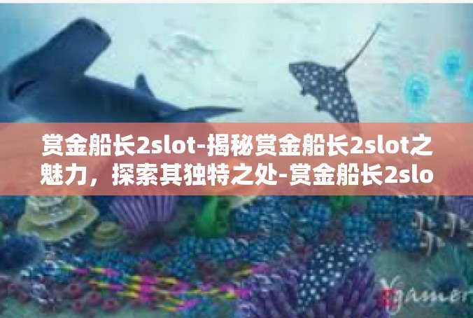 赏金船长2slot-揭秘赏金船长2slot之魅力，探索其独特之处-赏金船长2slot